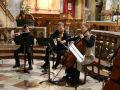 2026 02 12 anima in musica