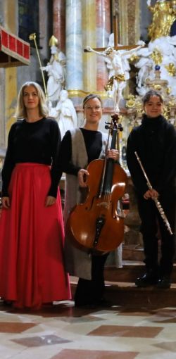 2026 02 12 anima in musica