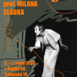2023 workshop pantomimy milana sladka
