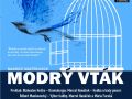 2023 05 modry vtak