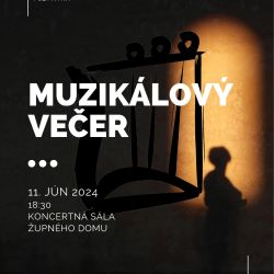 2024 061 muzikalovy vecer  
