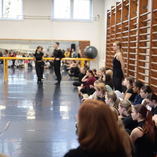 2024 11 26 dod 2024 25