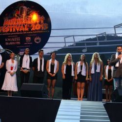 muzikalovy festival 2013