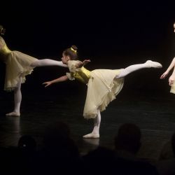 tanecny koncert 2018