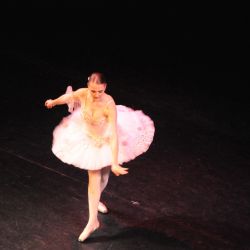 tanecny koncert 2016