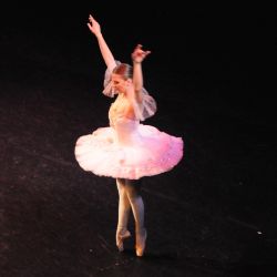 tanecny koncert 2016