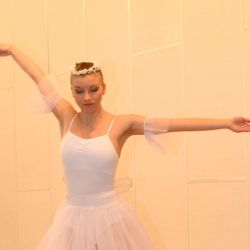 den ucitelov program studentov