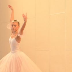 den ucitelov program studentov