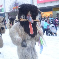 fasiangovy sprievod nitrou