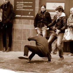 divadelna nitra 2014