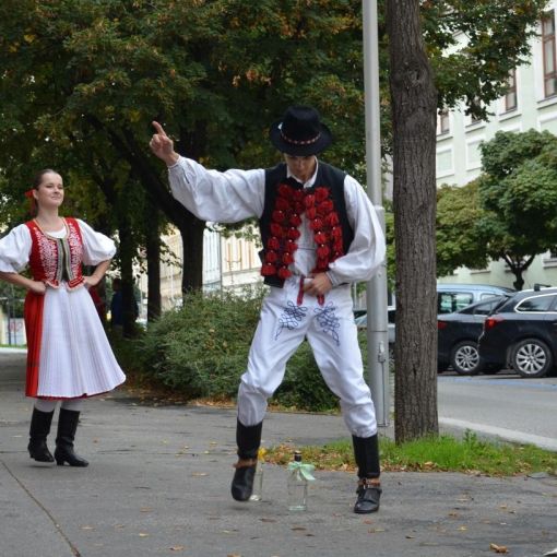 divadelna nitra 2014