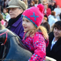 fasiangovy sprievod 2014