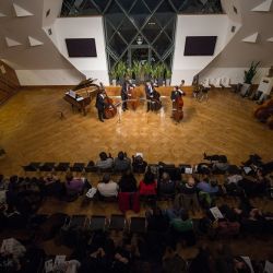 medzinarodna kontrabasova sutaz