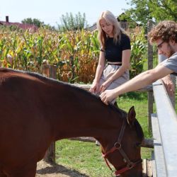 2025 09 kurz jazdectva