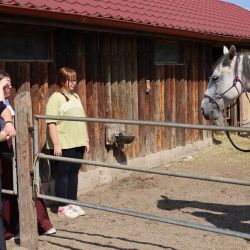 2025 09 08 kurz jazdectva