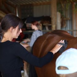 2025 09 08 kurz jazdectva