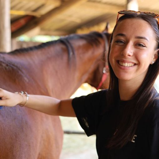 2025 09 08 kurz jazdectva