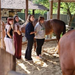 2025 09 08 kurz jazdectva