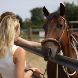 2024 09 06 kurz jazdectva