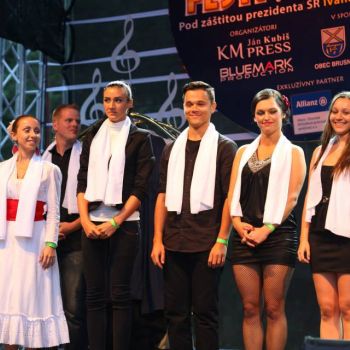 školský rok 2013-2014